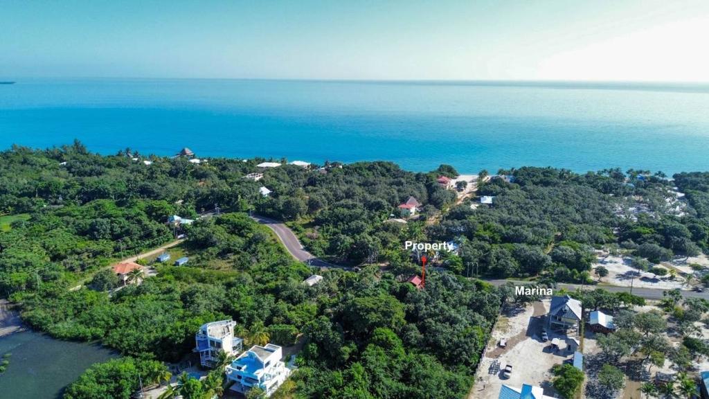 listing image with ID 66081