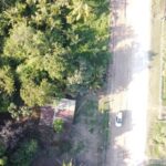 listing image thumbnail with ID 66100