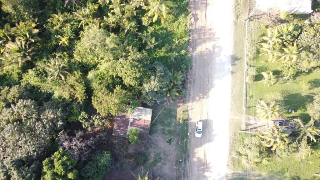 listing image with ID 66100