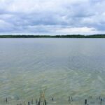 listing image thumbnail with ID 64570