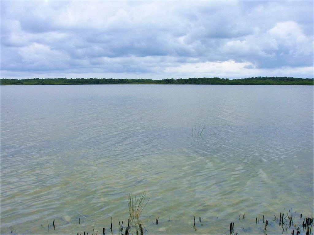 listing image with ID 64570