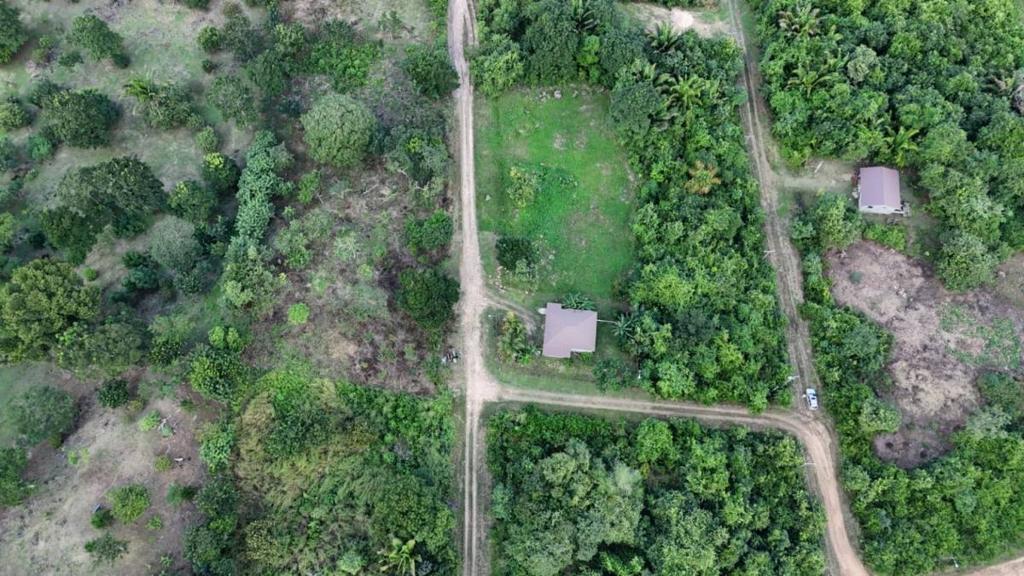 listing image with ID 67155