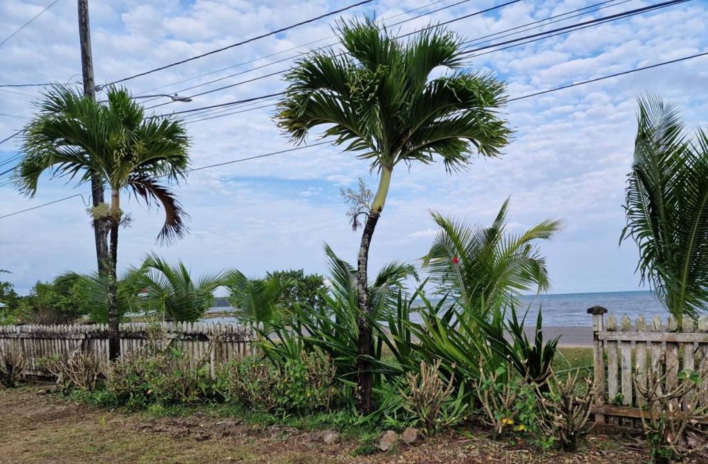 listing image with ID 65321