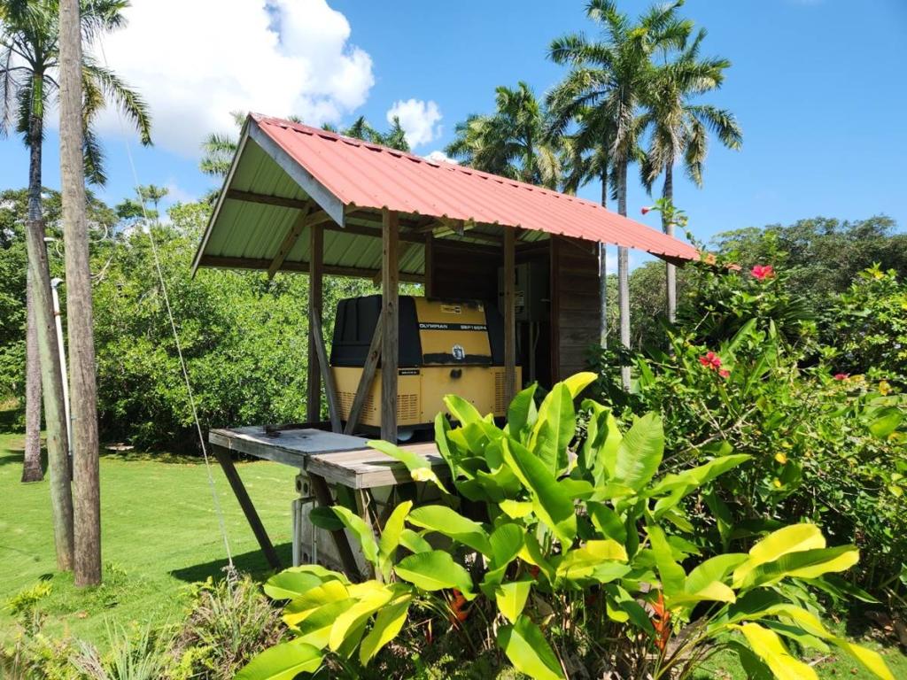 listing image with ID 67733