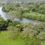 listing image thumbnail with ID 67751