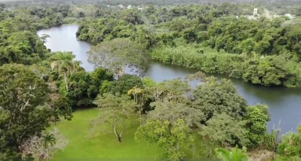 listing image with ID 67751