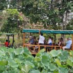 listing image thumbnail with ID 64968