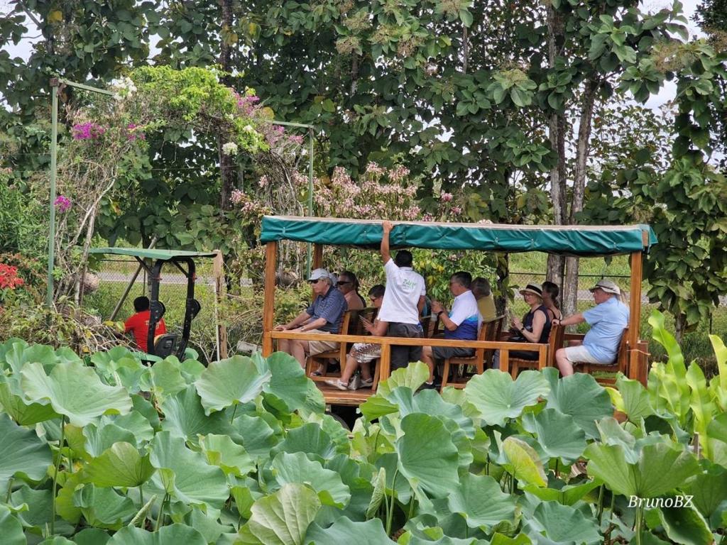 listing image with ID 64968