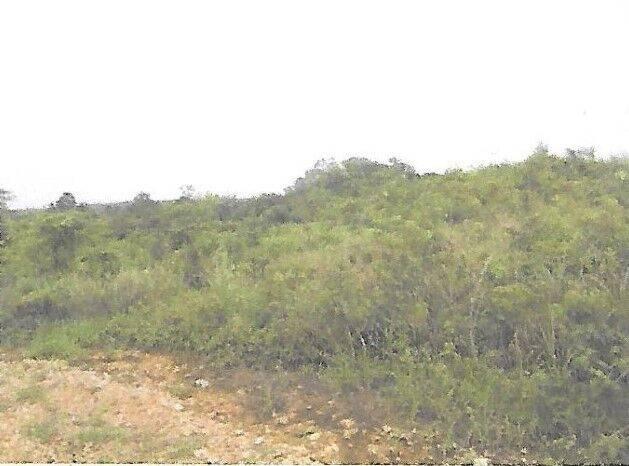 listing image with ID 65997