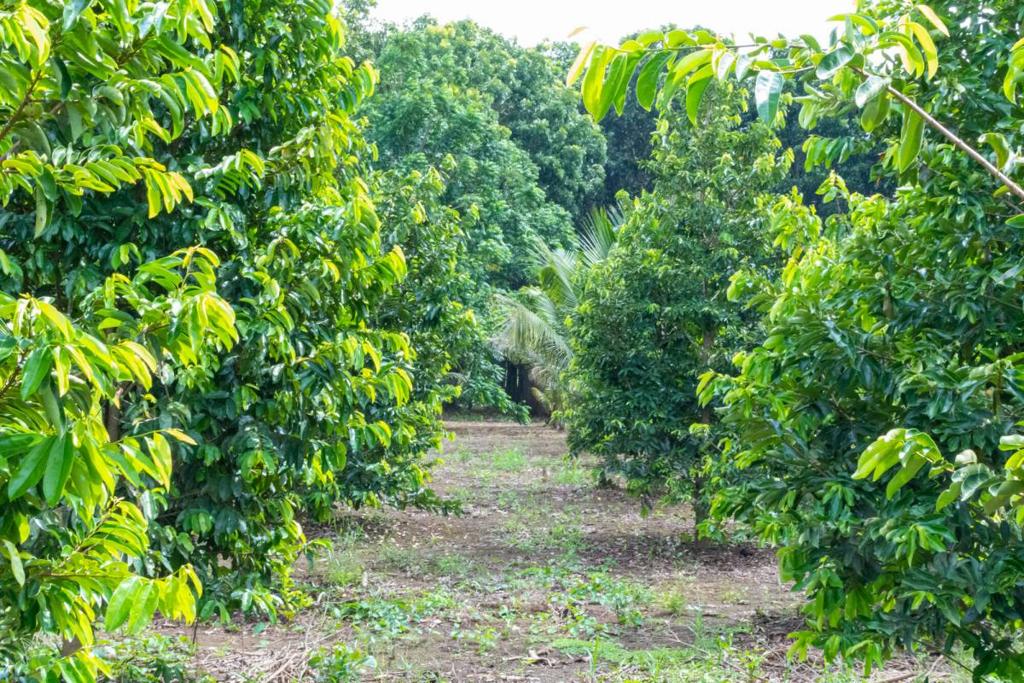 listing image with ID 67684