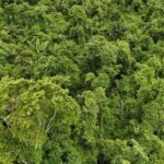 listing image thumbnail with ID 67083