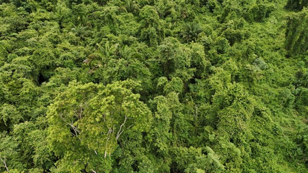 listing image with ID 67083