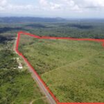 listing image thumbnail with ID 68130