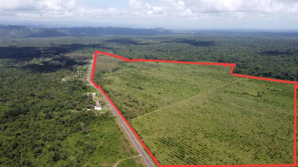 listing image with ID 68130