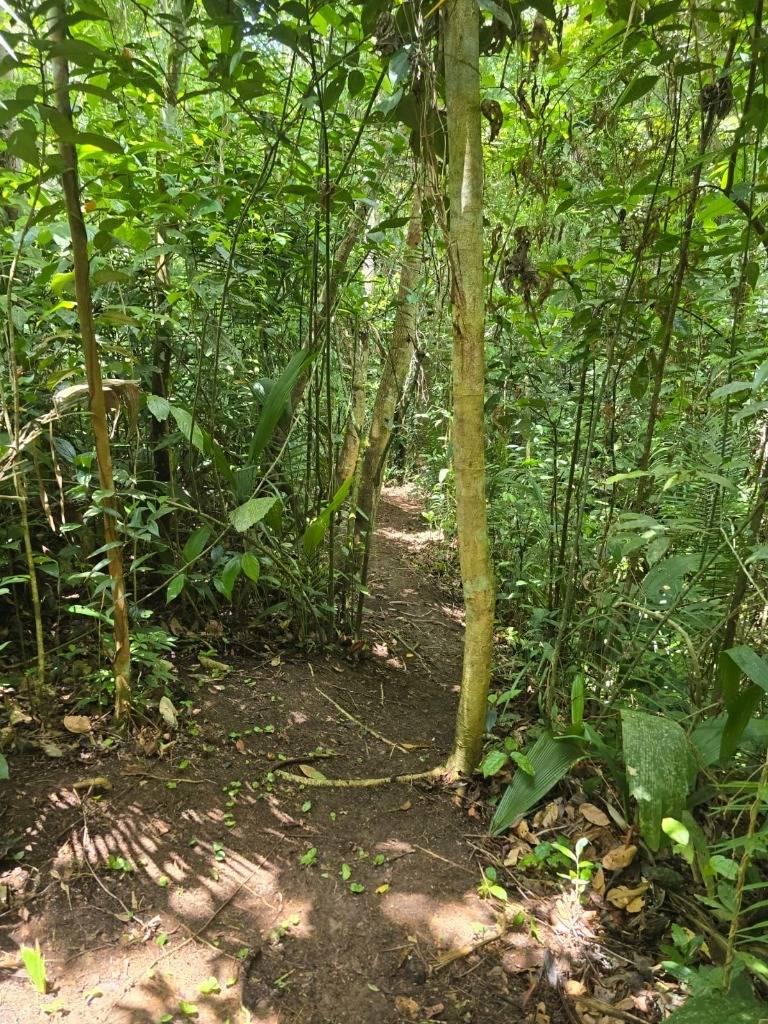 listing image with ID 68286