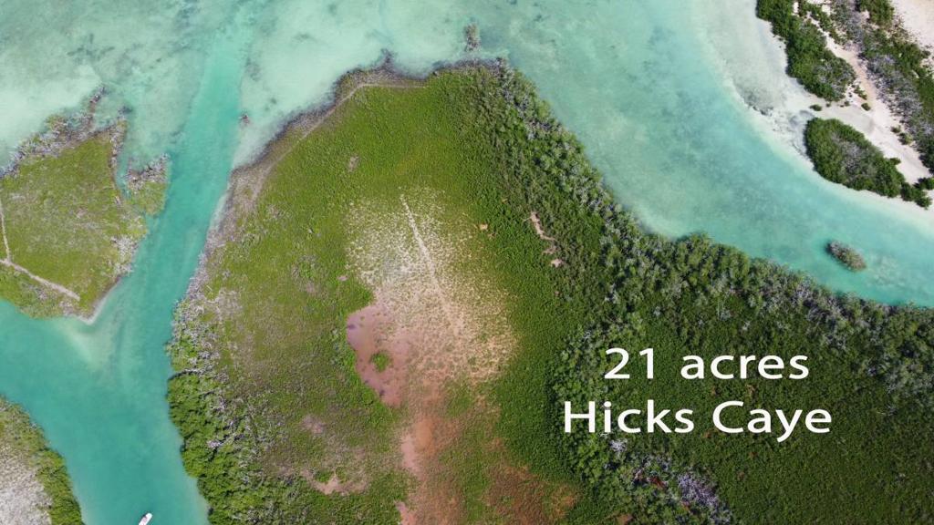 listing image with ID 65984