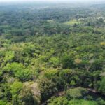 listing image thumbnail with ID 69188