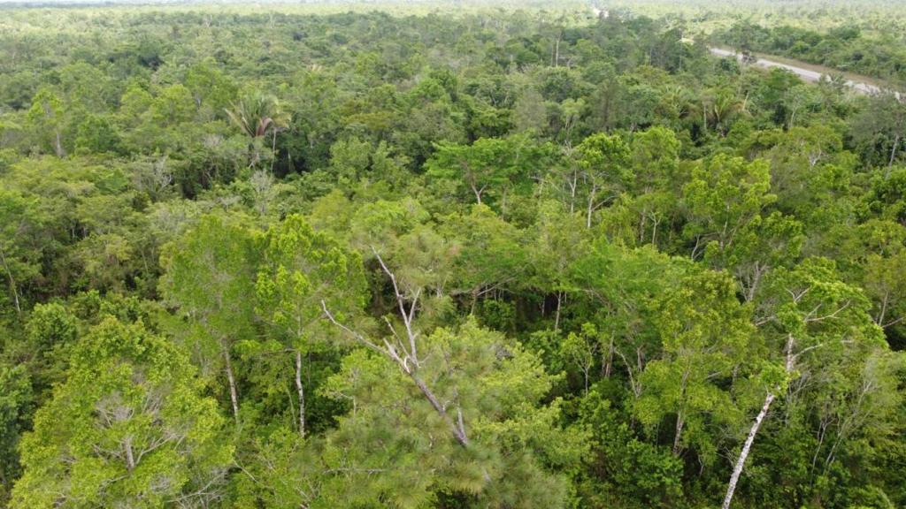 listing image with ID 63954