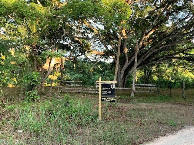 listing image with ID 65011