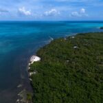 listing image thumbnail with ID 65979