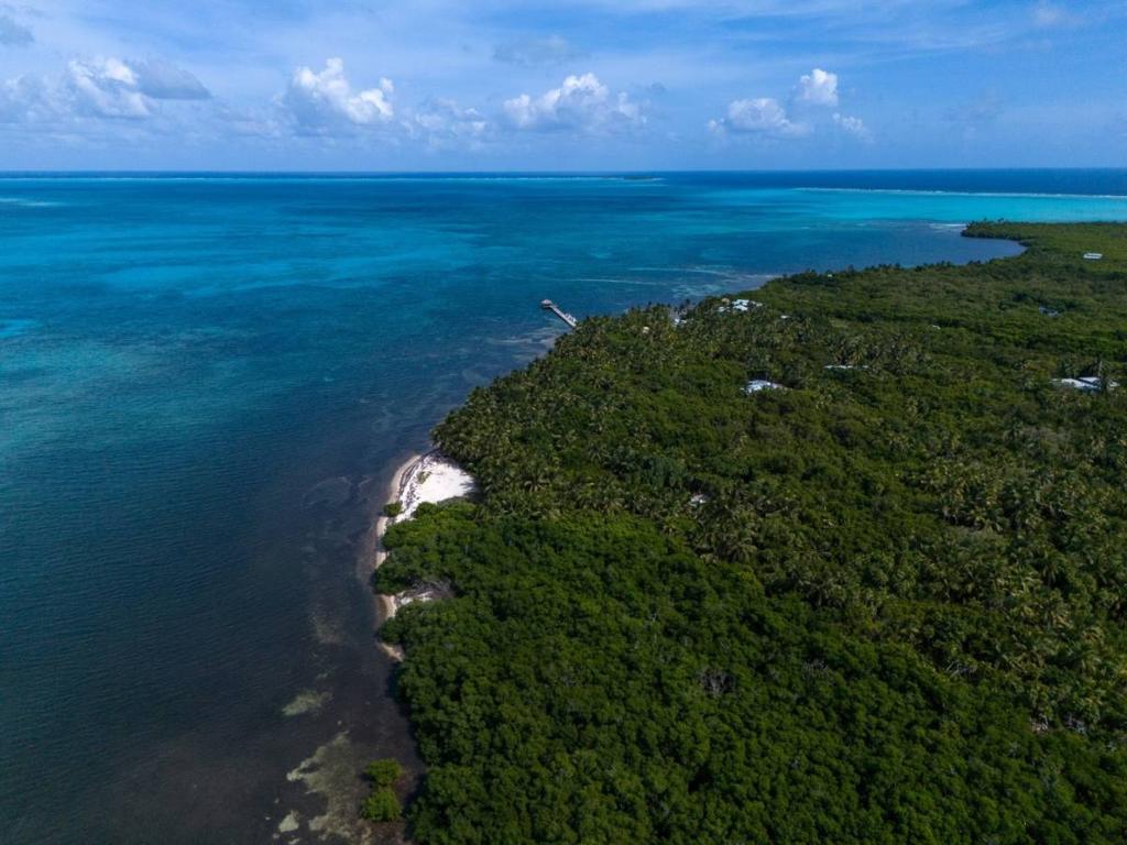 listing image with ID 65979