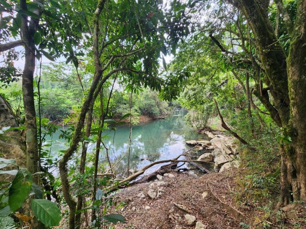 listing image with ID 64886