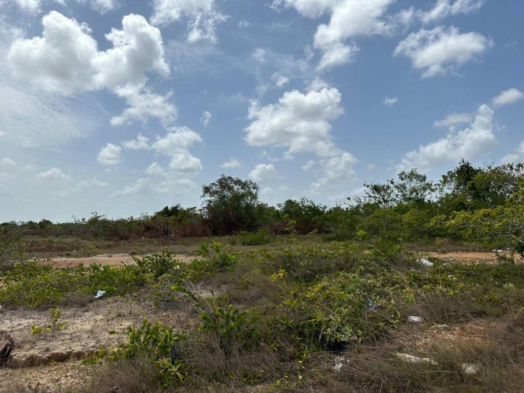 listing image with ID 67917