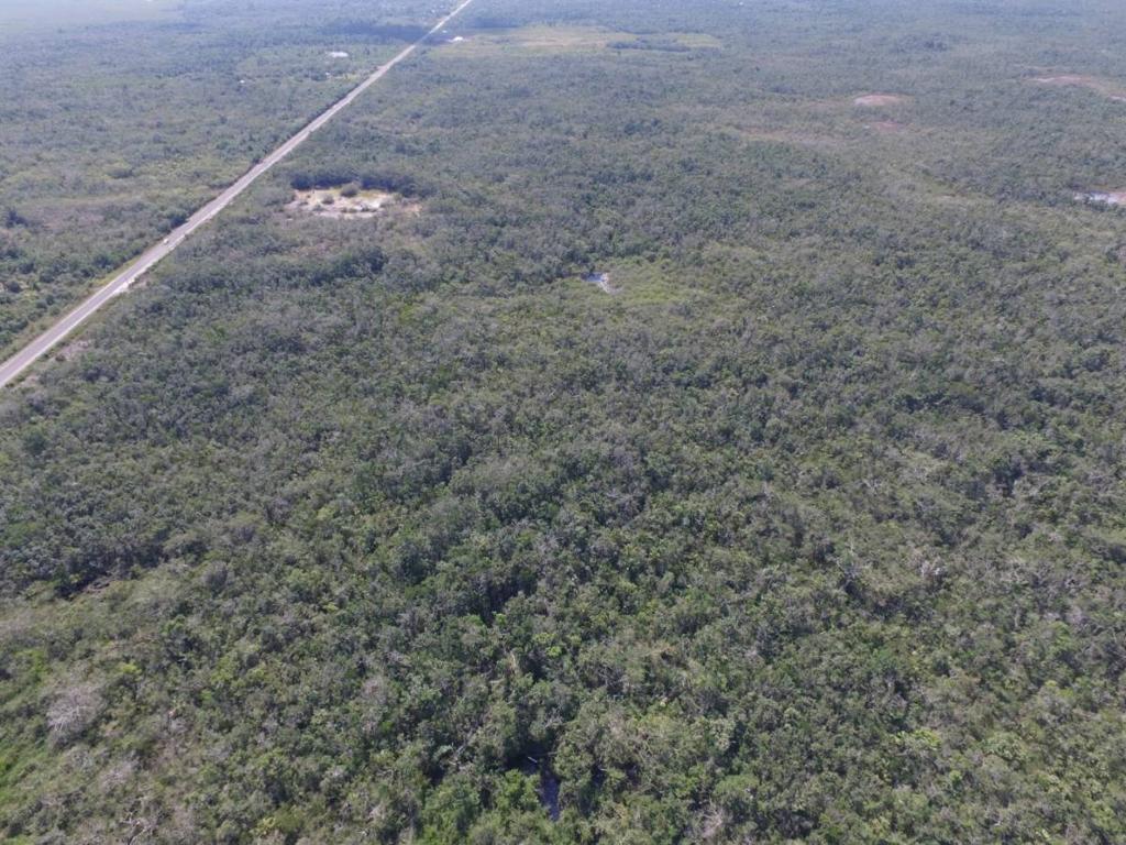 listing image with ID 64635