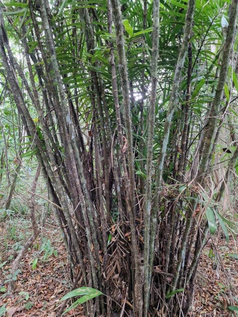 listing image with ID 63973