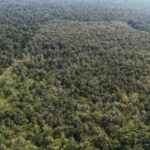 listing image thumbnail with ID 68067