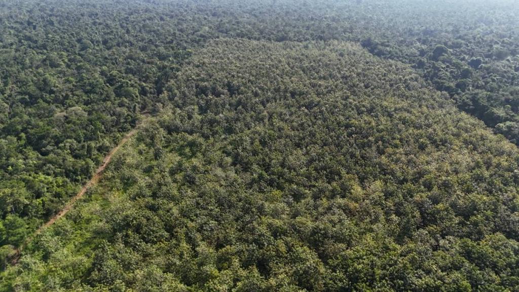 listing image with ID 68067