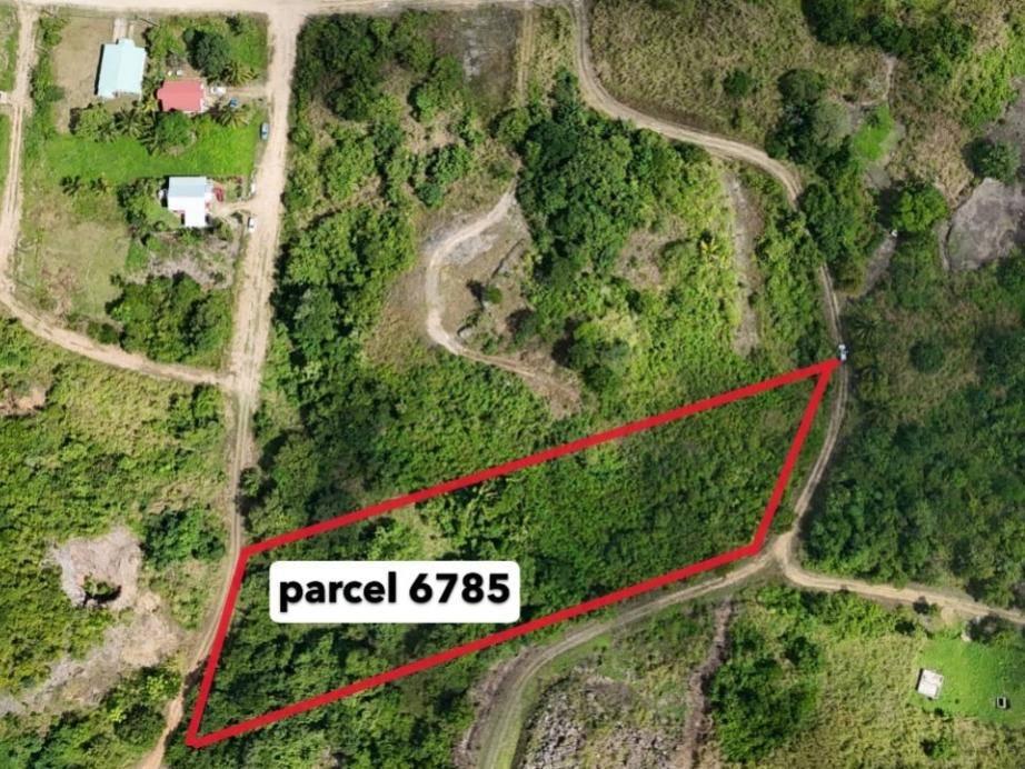 listing image with ID 63676