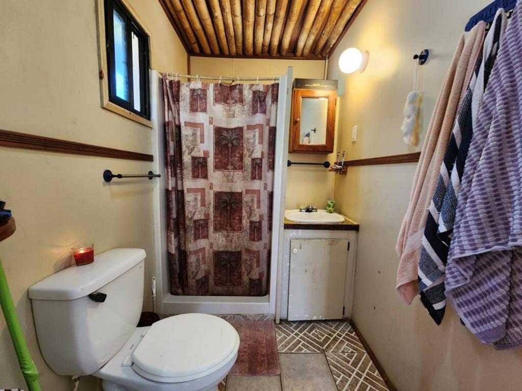 listing image with ID 65777