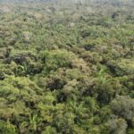 listing image thumbnail with ID 66586