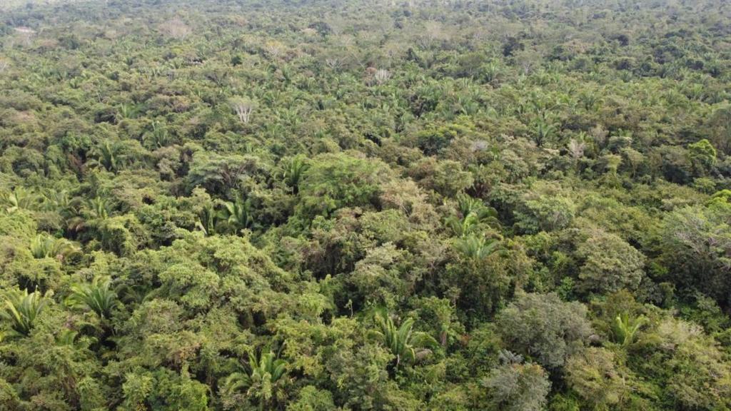 listing image with ID 66586