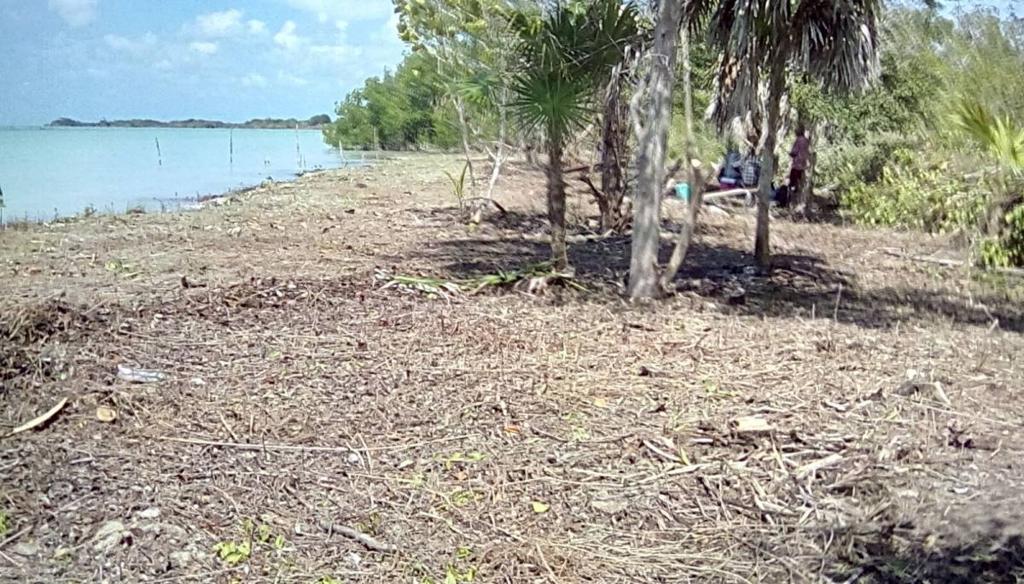 listing image with ID 68208