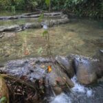 listing image thumbnail with ID 66891