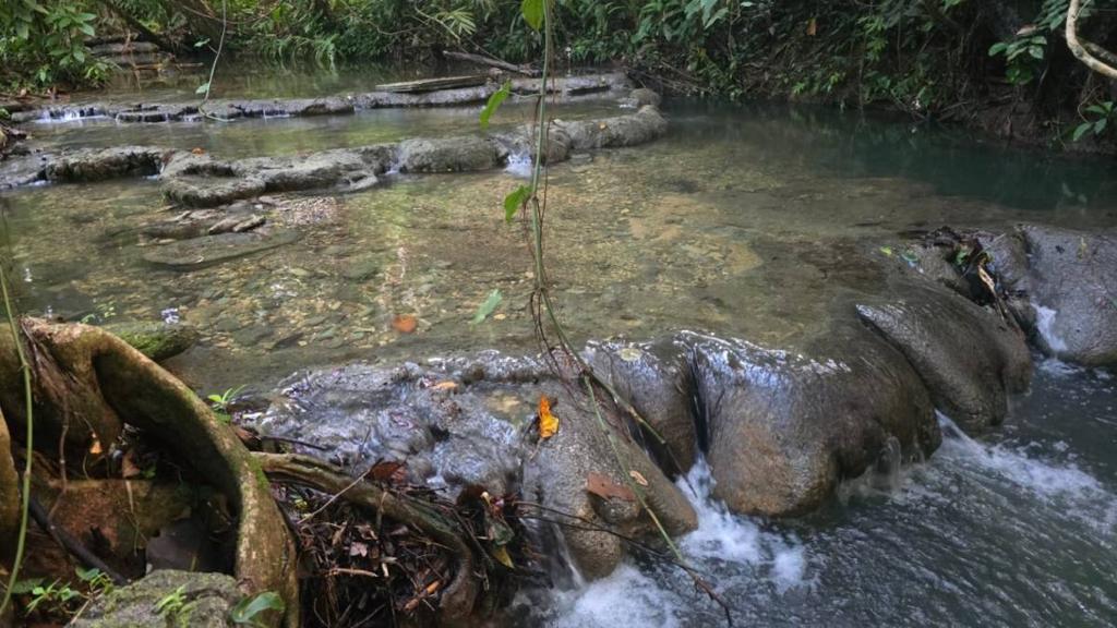 listing image with ID 66891