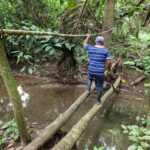 listing image thumbnail with ID 67546