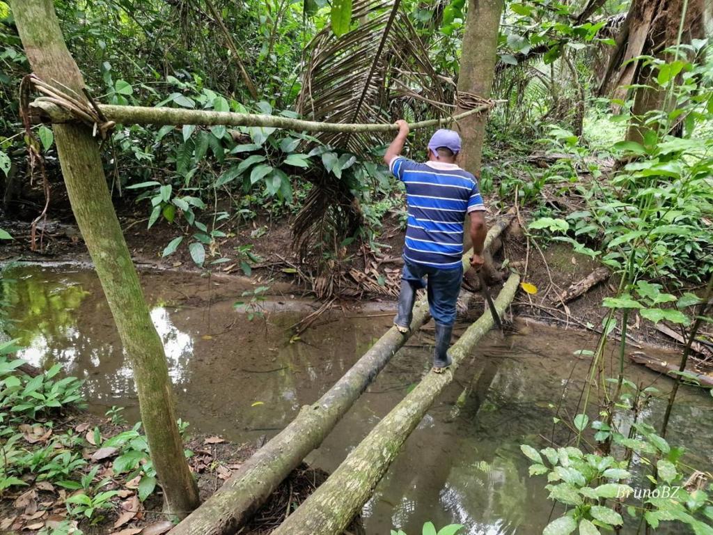 listing image with ID 67546