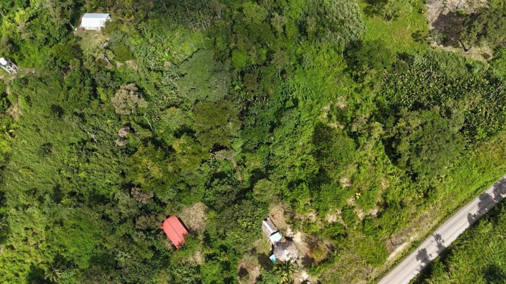 listing image with ID 66145