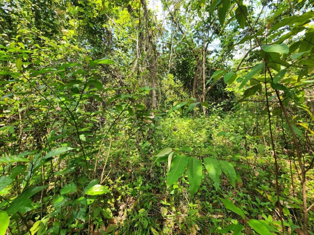 listing image with ID 64896