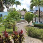 listing image thumbnail with ID 67145