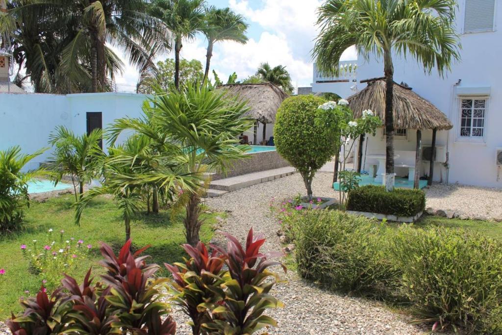 listing image with ID 67145