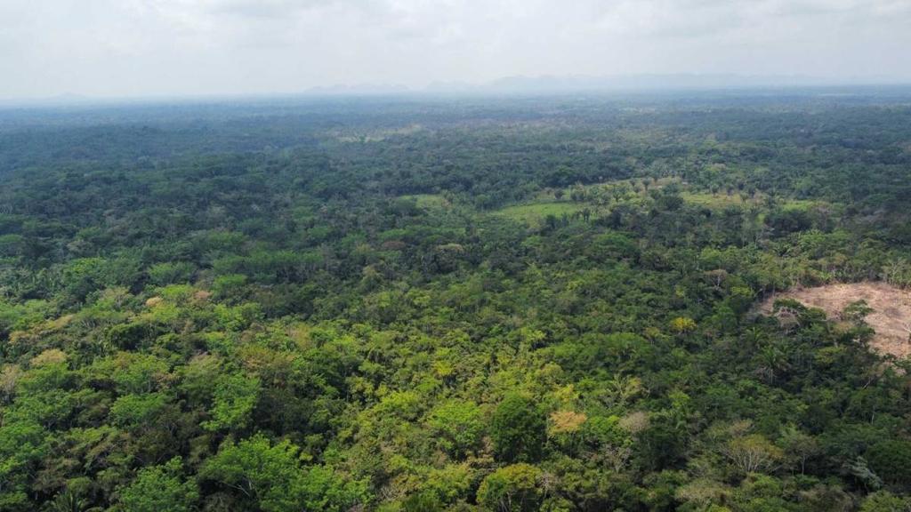 listing image with ID 69184