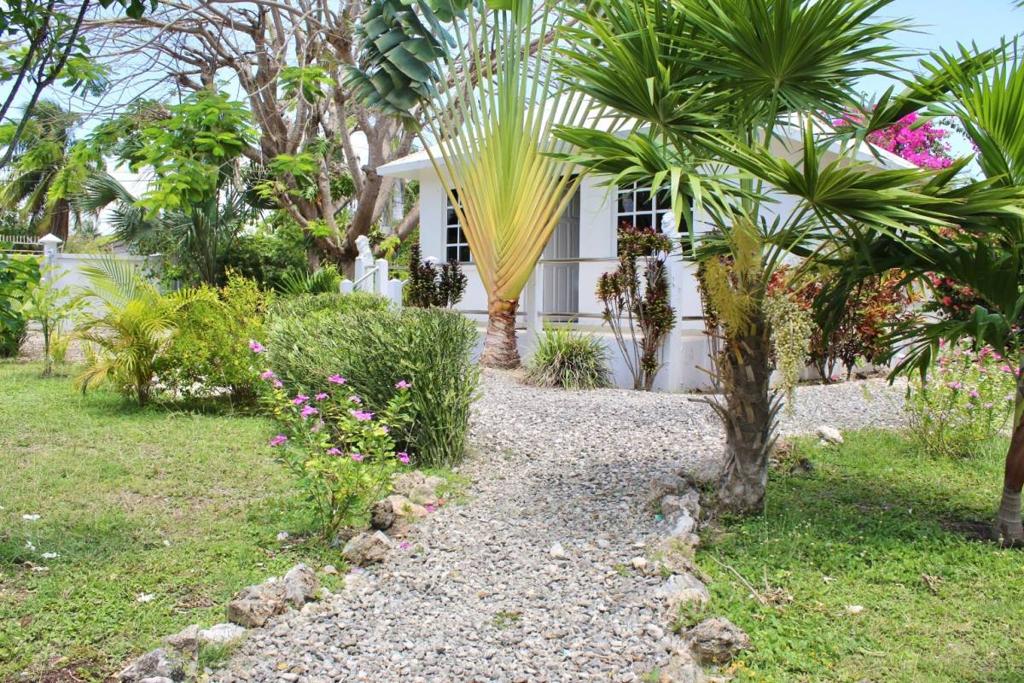 listing image with ID 67143