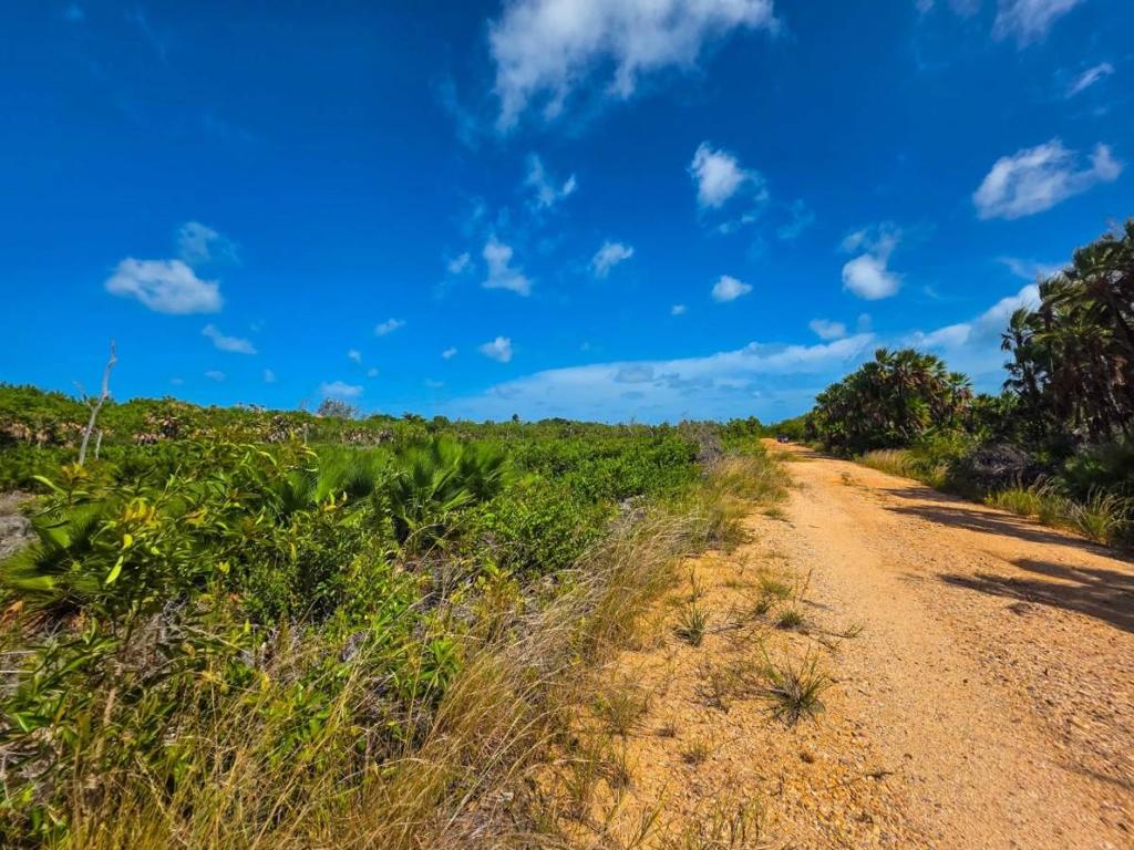 listing image with ID 68255