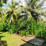 listing image thumbnail with ID 64344