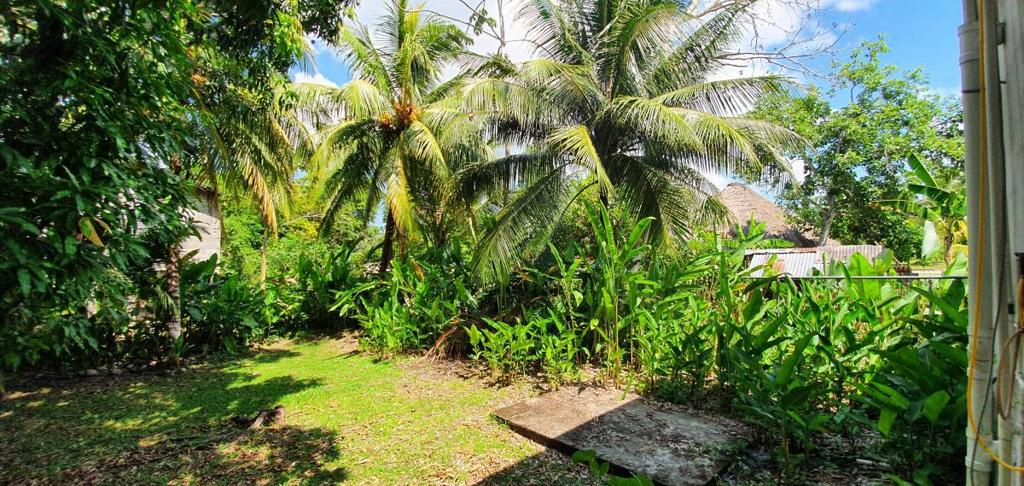 listing image with ID 64344