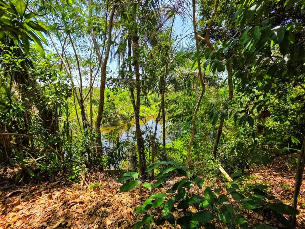 listing image with ID 64330